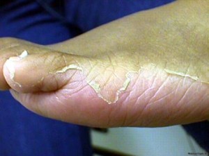 �������� KAWASAKI (9).jpg